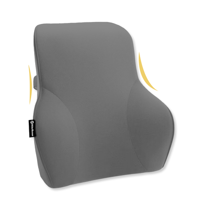 Ergonomische Rugkussen (Groot)