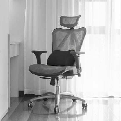 Ergonomische Rugkussen (Medium)